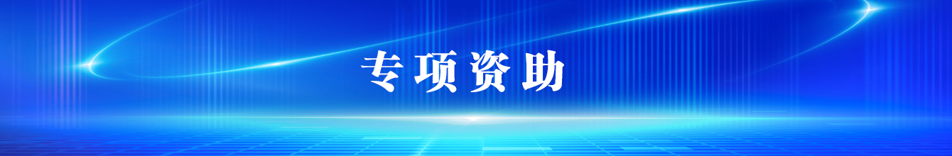 专项资助