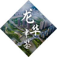 龙华年鉴