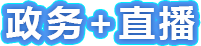 政务+直播