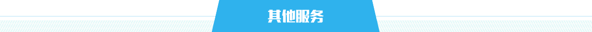 其他服务，捕鱼达人在线
，龙华政府在线，捕鱼达人在线
政府在线